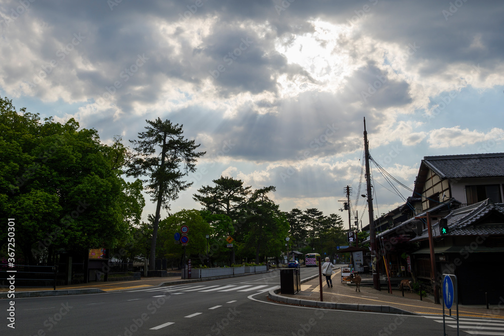 On May 13, 2020, at dusk, the number of tourists on the Nara Park Road was significantly reduced due to the declaration of a state of emergency by COVID-19.
