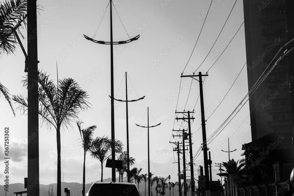electricity poles in the street silhouette of the city