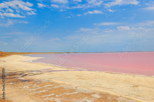 View of the pink salty Syvash lake in Kherson region  Ukraine