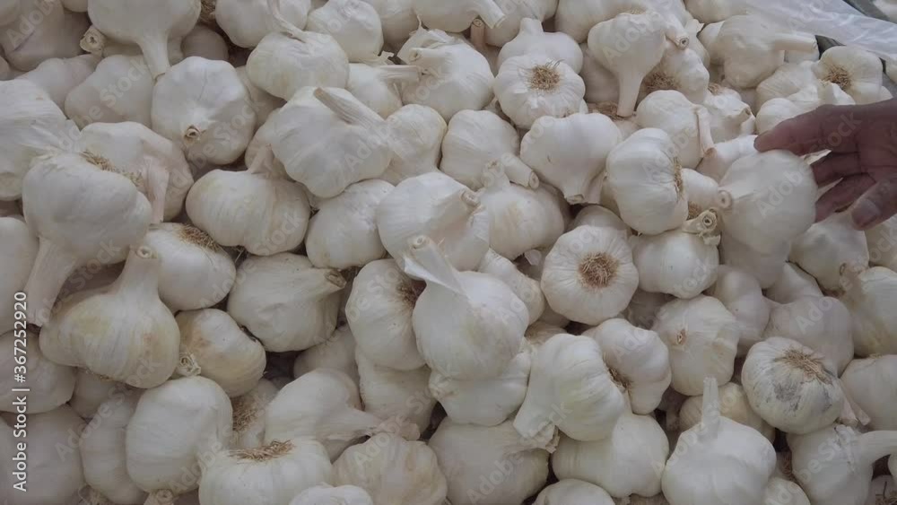 Slow motion of person of african ethnicity selecting garlic bulbs, allium, sativum, from a market stall Slow motion of person of african ethnicity selecting garlic bulbs, allium, sativum, from a market stall