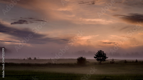 sunset in the steppe