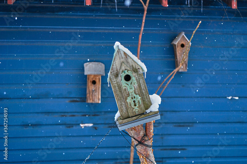 blue bird house on the winter