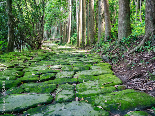 鹿児島県 姶良市 龍門司坂 photo