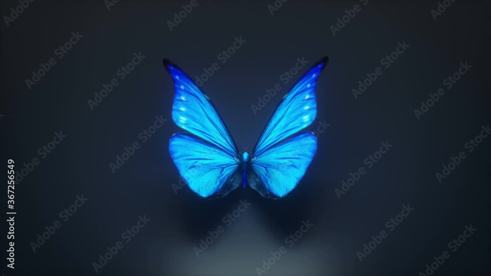 3d Animation of a beautiful blue colored butterfly, loop-able