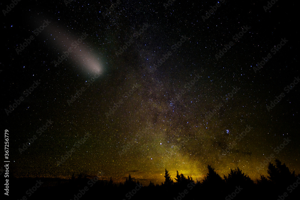 Comet with large dust and gas trails falls. Milky way stars and night forest landscape. Elements of this image furnished by NASA.