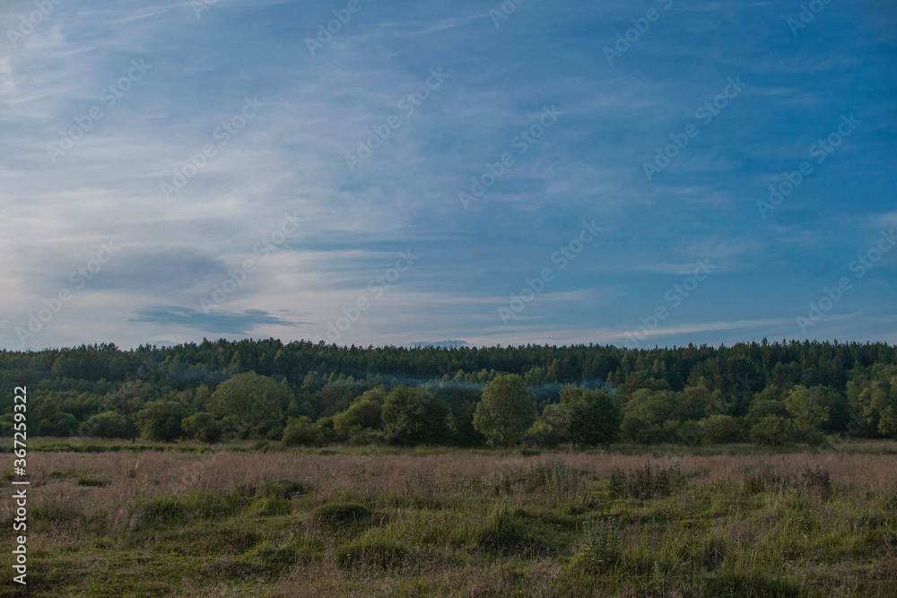  Glade in clear weather in summer. Clear sky. Summer field with kutsarnik