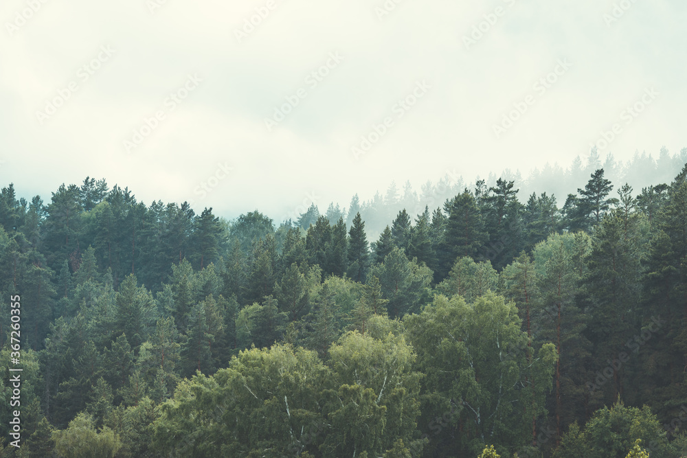 White smoke in the wooded taiga mountains from burning fire. White smoke in the wooded taiga mountains from burning fire.