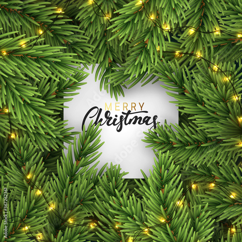 Pine fir background realistic fluffy branches. Christmas tree branches. Frame of green branch of pine and gold string garland lights. Festive Xmas border. vector illustration.