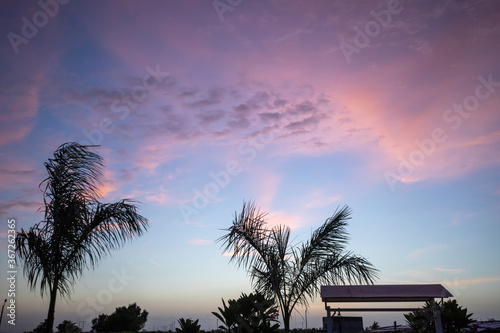 garden red and blue sky coconut tree bench in susnset time