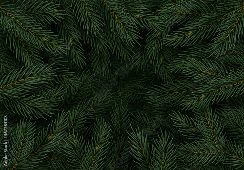 Christmas tree branches. Festive Xmas border of green branch of pine. Pattern pine branches, spruce branch. Realistic design decoration elements. Vector illustration