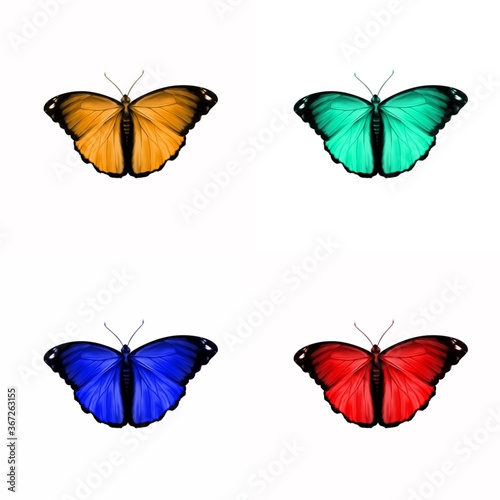 set of butterflies