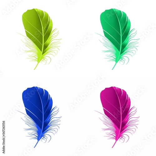 set of feathers