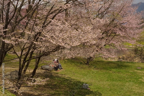 cycling in spring