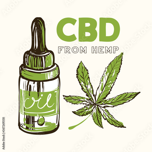 CBD oil. Hand drawn vintage sketch for medical design. CBD, cannabis, hemp oil. Vector illustration on white background in watercolor style. Decoration for medical article on CBD, hemp oil theme.