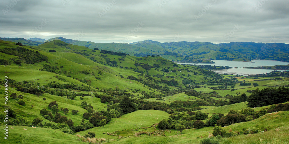 Obraz premium Lush green landscapes on a cloudy day near Lake Akaroa, New Zealand