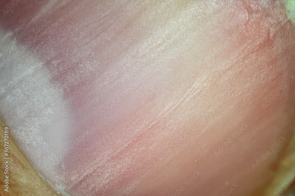 Fototapeta premium Macro detail of nail scratches.