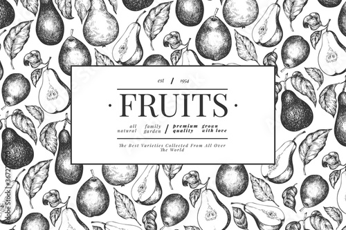 Pear design template. Hand drawn vector garden fruit illustration. Engraved style garden fruit frame. Retro botanical banner.