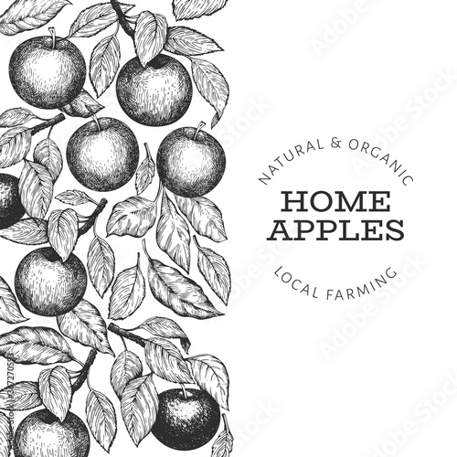 Apple branches design template. Hand drawn vector garden fruit illustration. Engraved style fruit frame. Vintage botanical banner.