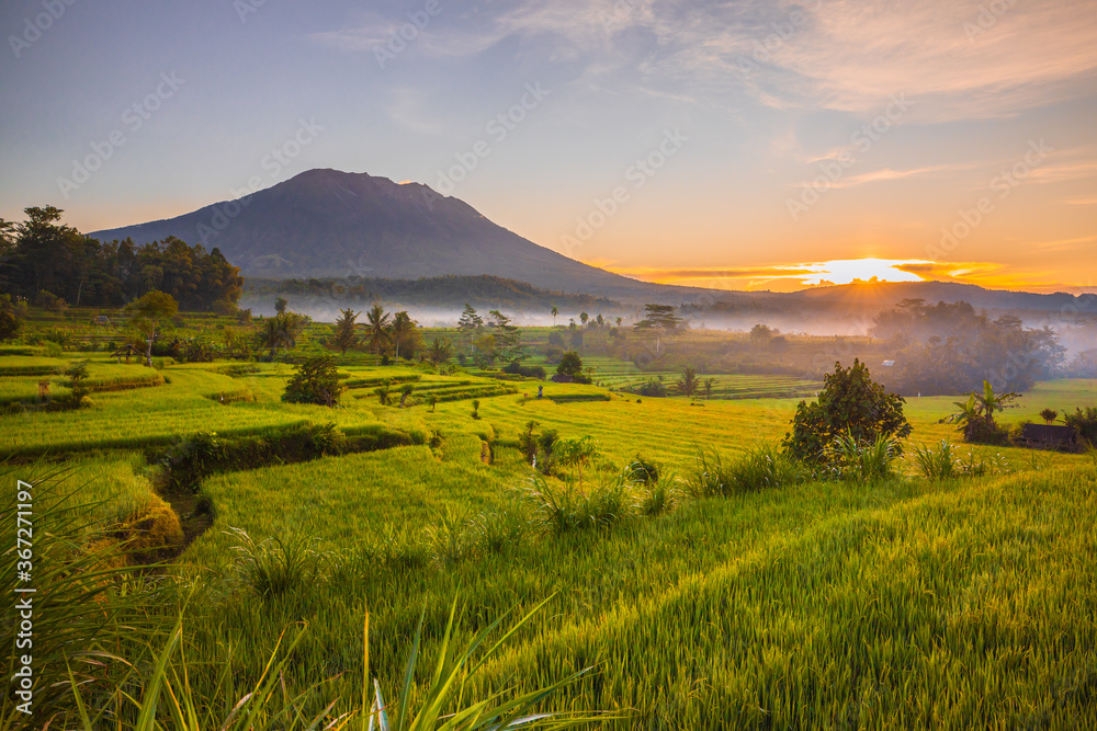 Obraz premium Beautiful landscape during sunrise. Rice paddies with Agung Volcano on the background. Scenic panoramic view. Sunlight on the horizon. Bali, Indonesia