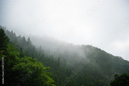 日光市 霧が立ち込める山 © nikomani