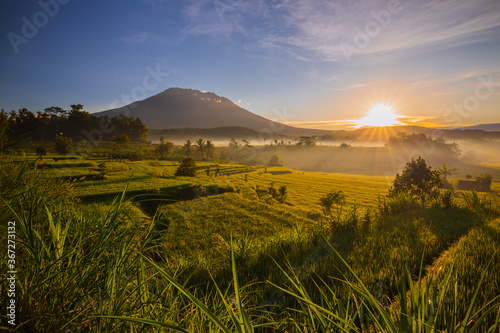 Beautiful landscape during sunrise. Rice paddies with Agung Volcano on the background. Scenic panoramic view. Sunlight on the horizon. Bali, Indonesia