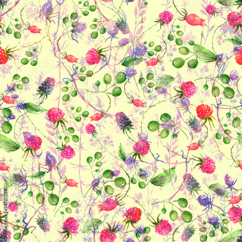 Watercolor seamless background floral pattern. Berry set - raspberries, blackberries, grass and plant flowers, burdock, thistle, alga, inflorescence, wild herbs. Floral pattern