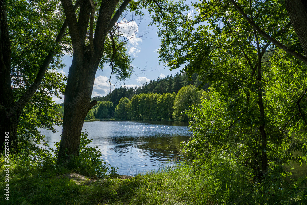 summer, day, nature, landscape, shore, reservoir, lake, water, smooth surface, ripples, reflections, thickets, trees, branches, green, foliage, blue, sky, white, clouds, glare, light, shadow, beauty summer, day, nature, landscape, shore, reservoir, lake, water, smooth surface, ripples, reflections, thickets, trees, branches, green, foliage, blue, sky, white, clouds, glare, light, shadow, beauty