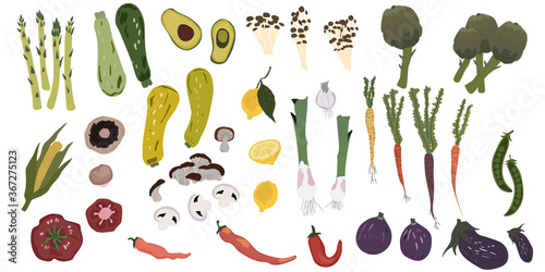 Collection of hand drawn vegetables illustrations isolated on white background. Set  of fresh vegan diet vegetarian products,  healthy food, cooking ingredients. Flat cartoon style