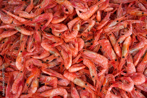 Natural background with lots of red cooked prawns