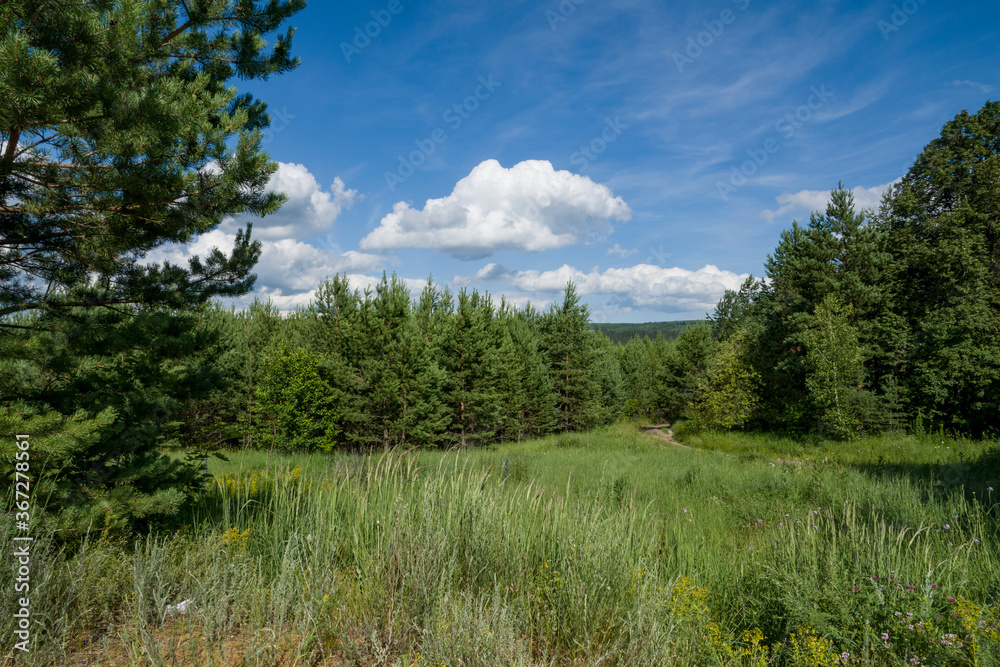 summer, day, nature, landscape, blue, sky, white, clouds, distance, space, meadow, vegetation, grass, light, shadow, beauty, trees, forest summer, day, nature, landscape, blue, sky, white, clouds, distance, space, meadow, vegetation, grass, light, shadow, beauty, trees, forest