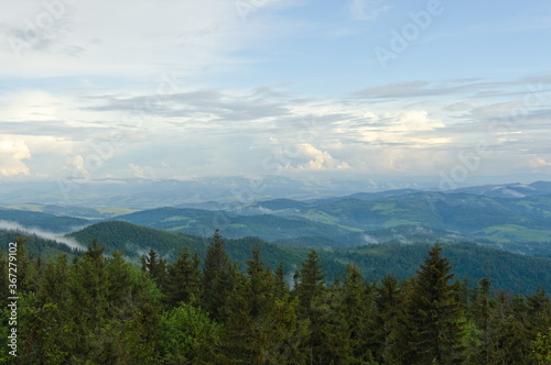 Fototapeta Naklejka Na Ścianę i Meble -  Radziejowa Poland. View of the Beskids from the observation tower.