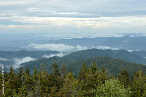 Radziejowa Poland. View of the Beskids from the observation tower. © Tomek