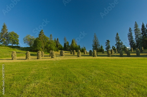 Green meadow on top of piles of hay. Bukowina Tatrzanska Poland. photo