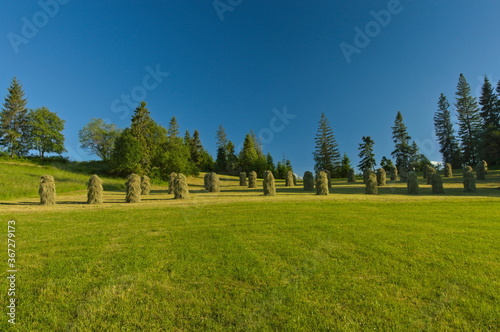 Green meadow on top of piles of hay. Bukowina Tatrzanska Poland.