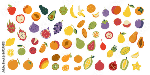 Exotic tropical fruits graphic set. Vector illustration.