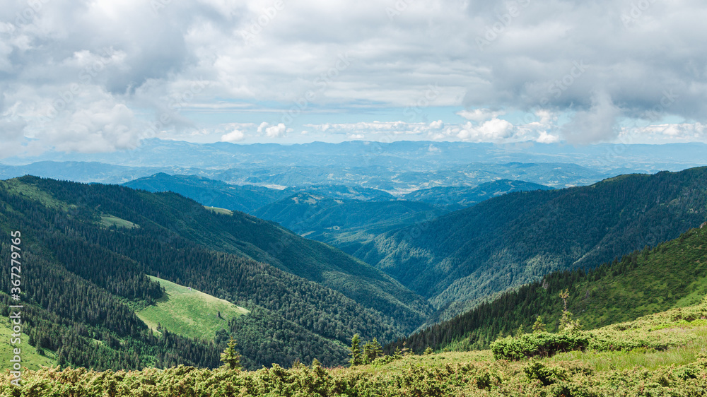 Landscape of wild nature in the mountains, scenic highland Carpathians