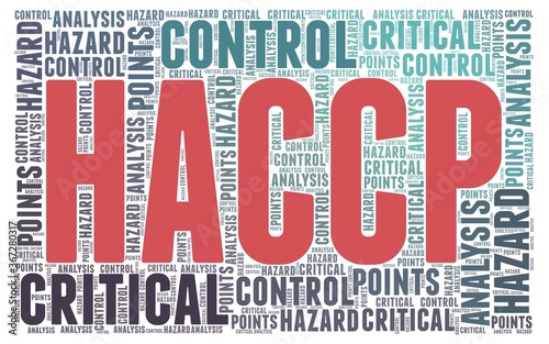 HACCP word cloud isolated on a white background