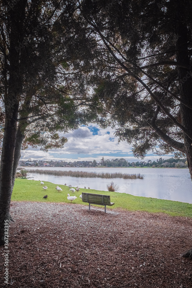 Obraz premium bench in the park