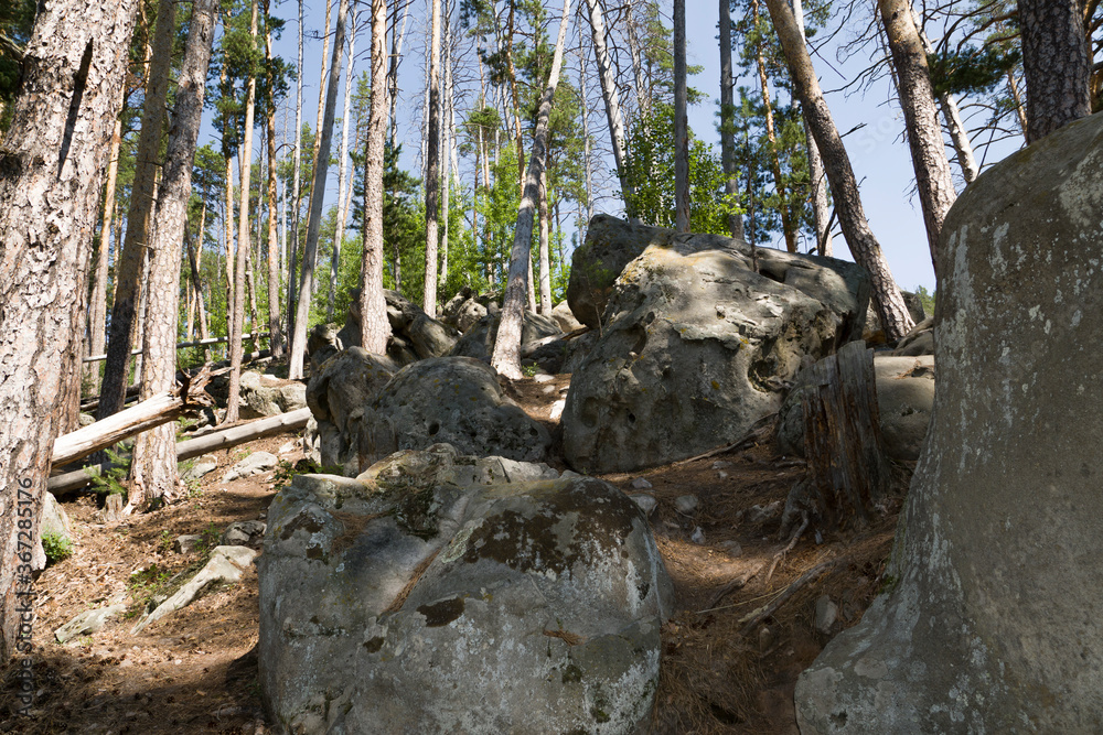 summer, day, walk, nature, sky, clouds, space, height, distance, forest, trees, pines, green, crowns, foliage, grass, elevation, slopes, earth, shapeless, stone, boulders, blocks, moss, light, shadow summer, day, walk, nature, sky, clouds, space, height, distance, forest, trees, pines, green, crowns, foliage, grass, elevation, slopes, earth, shapeless, stone, boulders, blocks, moss, light, shadow