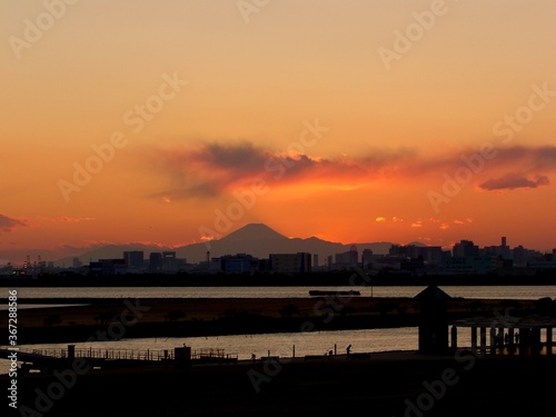 東京湾の富士山 © Nic Field Research