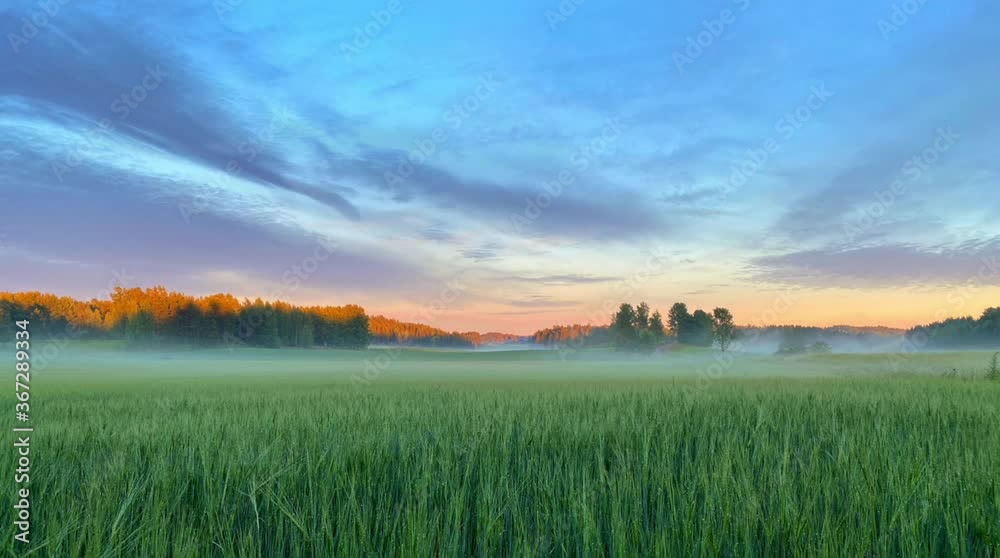 Sunset with looped motion clouds moving over the foggy field.