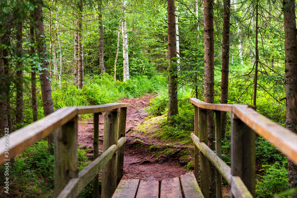 Naturschutzgebiet Tannermoor im Mühlviertel Oberösterreich mit Holzbrücke Naturschutzgebiet Tannermoor im Mühlviertel Oberösterreich mit Holzbrücke