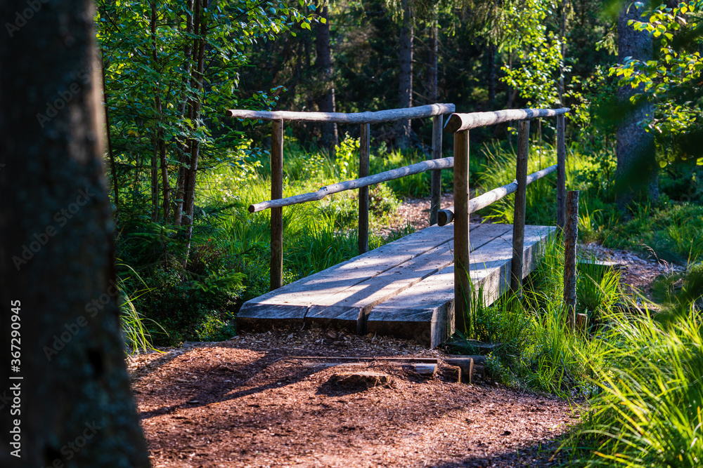 Naturschutzgebiet Tannermoor im Mühlviertel Oberösterreich mit Holzbrücke