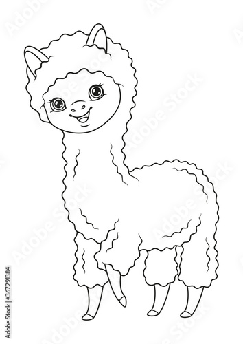 Сute alpaca coloring page. Black and white cartoon illustration