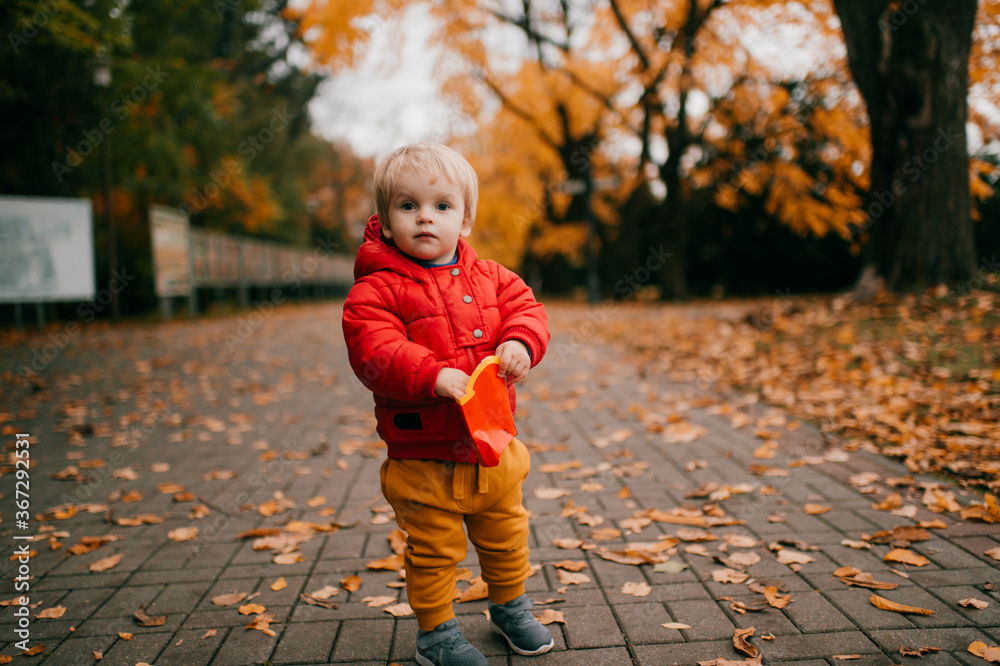 Picture of little caucasian boy in warm clothes goes for a walk in the big autumn park and have fun