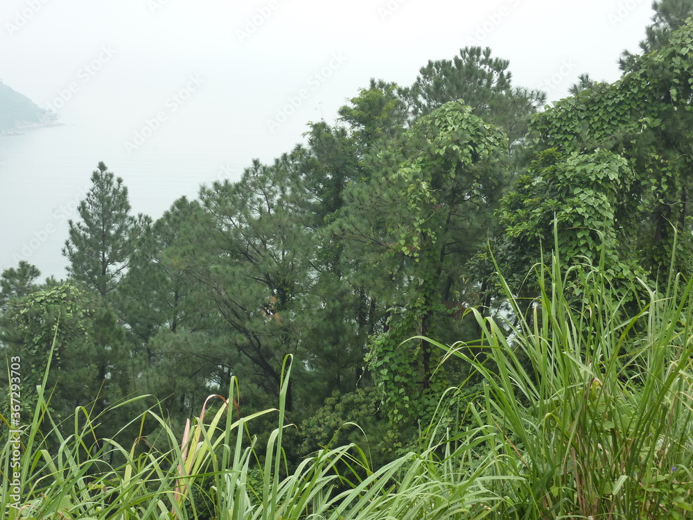 Wolkenpass in Vietnam Wolkenpass in Vietnam