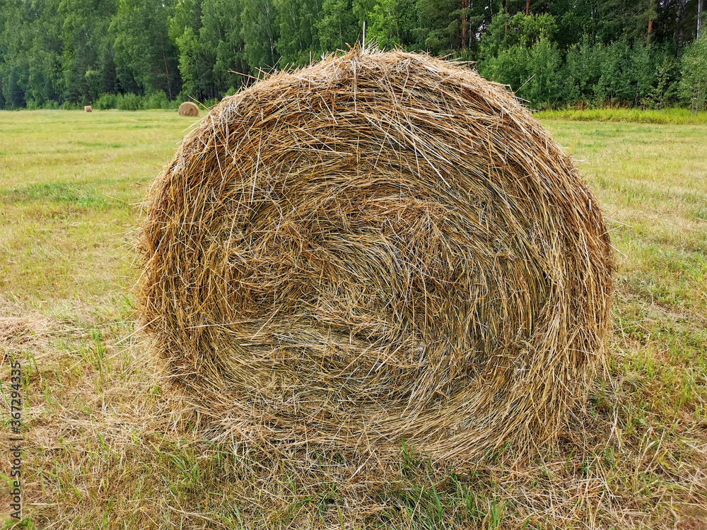 Straw bale closeup. Field haystacks forest. Straw bale closeup. Field haystacks forest.
