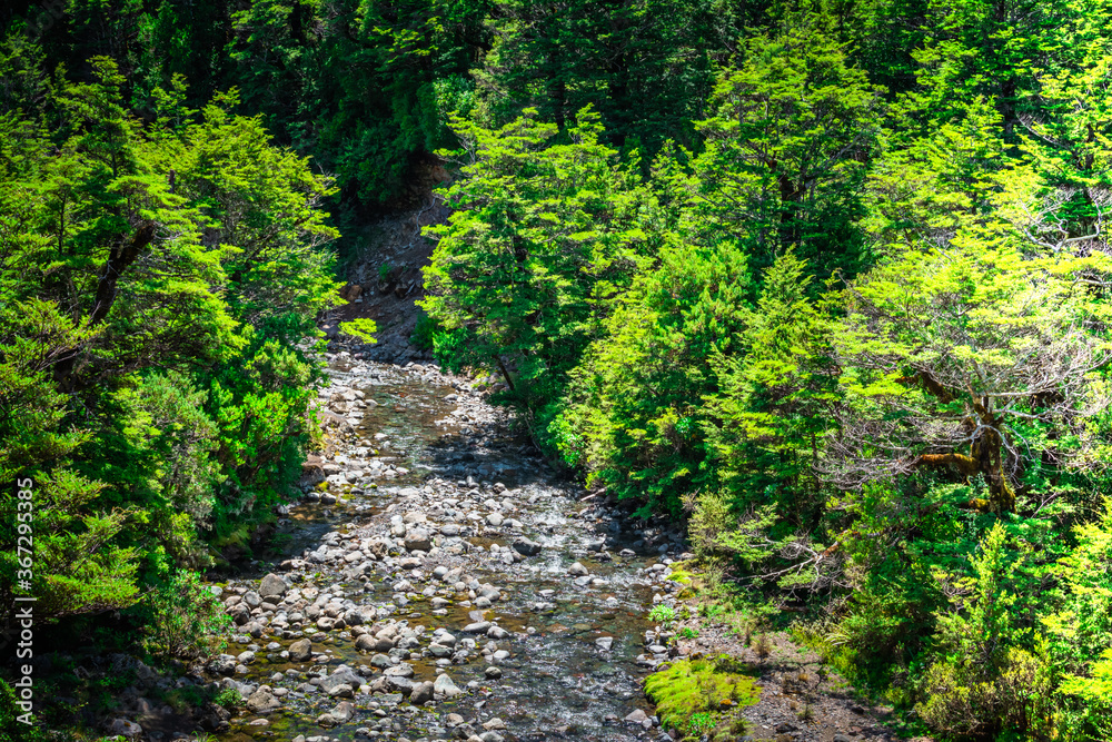 Shallow mountain stream amid lush greenary of the banks Shallow mountain stream amid lush greenary of the banks