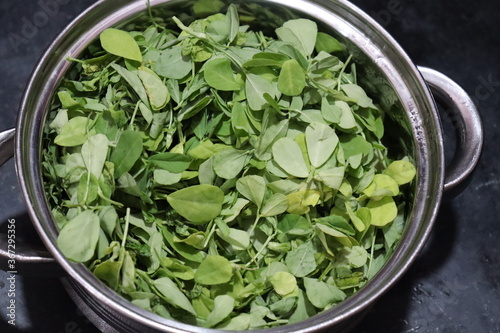 Fresh Green Fenugreek Leaves on White Background photo