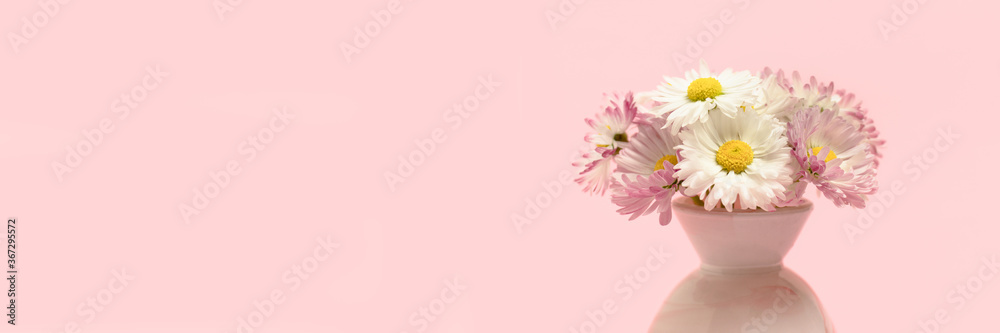 Bouquet of chamomile in vase on a pastel pink background. Floral composition with place for text. Bouquet of chamomile in vase on a pastel pink background. Floral composition with place for text.